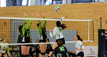 Centennial Stars: Emily Joe Image